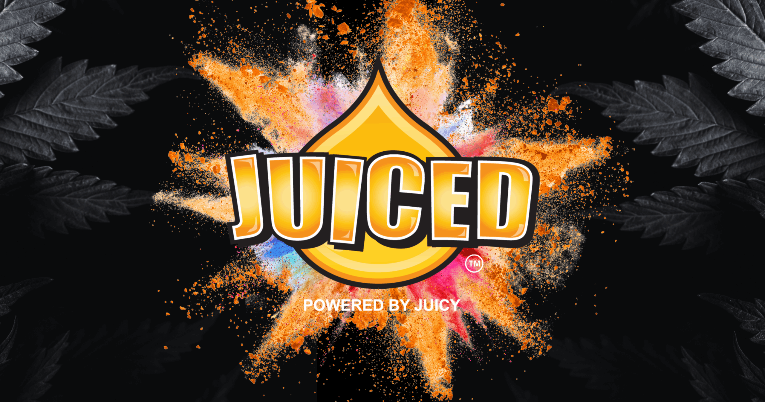 Exploring Juicy Pre-Rolls: A Flavorful Ride