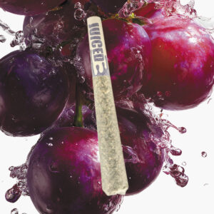 Grape Donut Hole (Indica) - Single