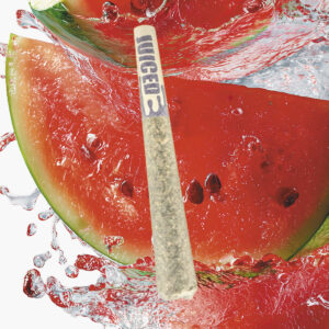 Watermelon Donut Holes (Indica) - Single